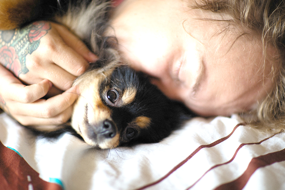 corso pet therapy avanzato puglia