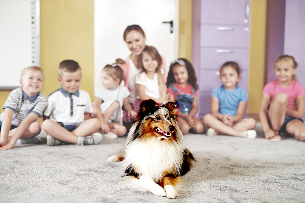corso pet therapy propedeutico